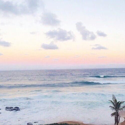 candybutera's tweet photo. that's. so. beautiful. https://t.co/bnKGAEd1XZ