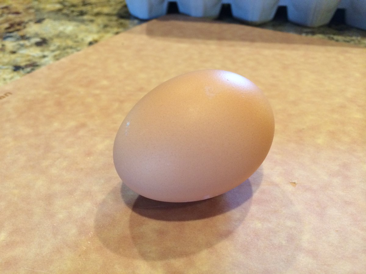 BryceChartwell's tweet photo. Essential advice for choosing your #eggs at #Easter https://t.co/Spos8SEo3W https://t.co/MvMQFw6l40