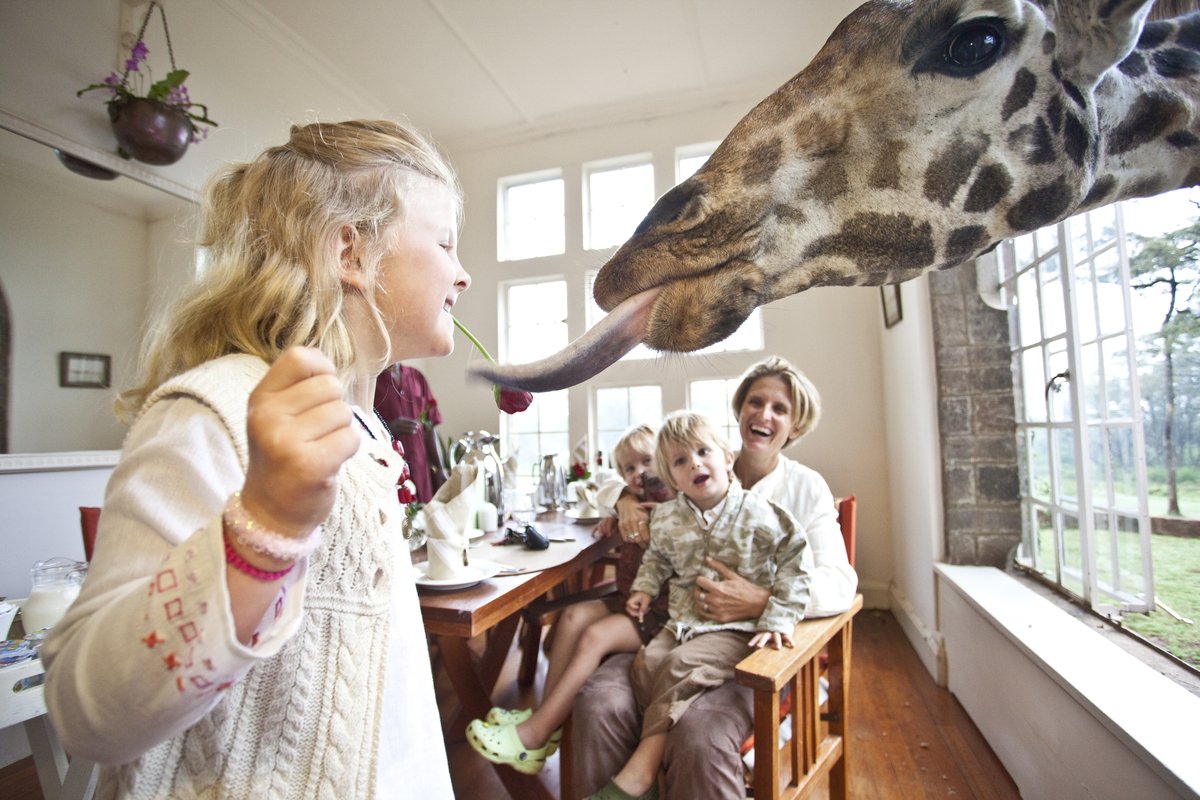 YZsafaris's tweet photo. Experience the best of #Kenya, at Giraffe Manor with #YellowZebra! Click to find out more. https://t.co/YWOjsUZJY5 https://t.co/ga8GFCbSa7