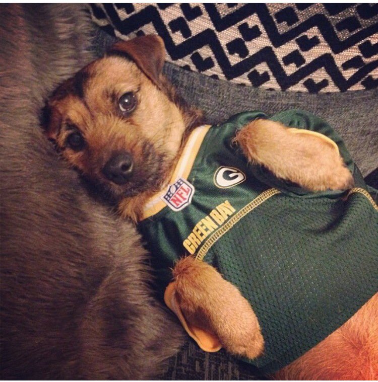 charmidge5's tweet photo. @packers happy #NationalPuppyDay  ! 🐶🐶💚💛 https://t.co/siBzytuIzN