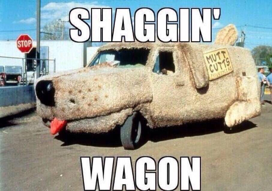 DumbDumberMovie's tweet image. Chicks love it