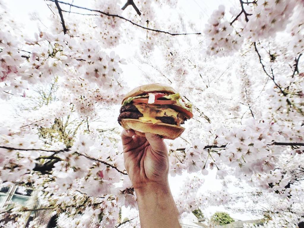 samfuphoto's tweet photo. Spring is here &amp; there's a new burger in town! Take a stand &amp; make #DeclarationofDelicious… https://t.co/FbnfyutX4C https://t.co/p5dfkBbZBM