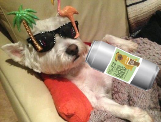 RadBrewCo's tweet photo. It's #NationalPuppyDay &amp; you know we love our #DogsOfFlat12! Look out for #Flat12Paws #dogbrew coming back this June https://t.co/VCry4E3T3s