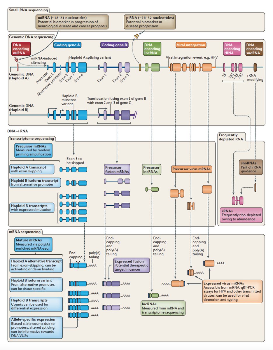Eric Topol tweet media