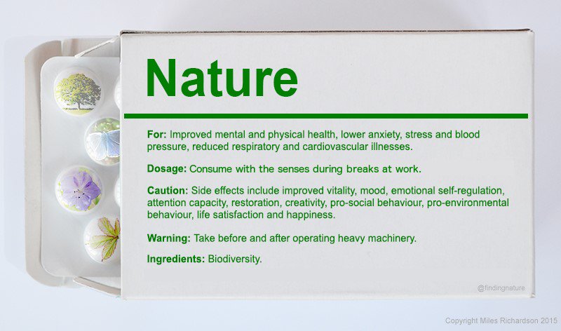 ergonomics1957's tweet photo. Nature: a new paradigm for workplace well-being - take before operating heavy machinery https://t.co/rYoCyHGwql https://t.co/wrl1MxfWqh