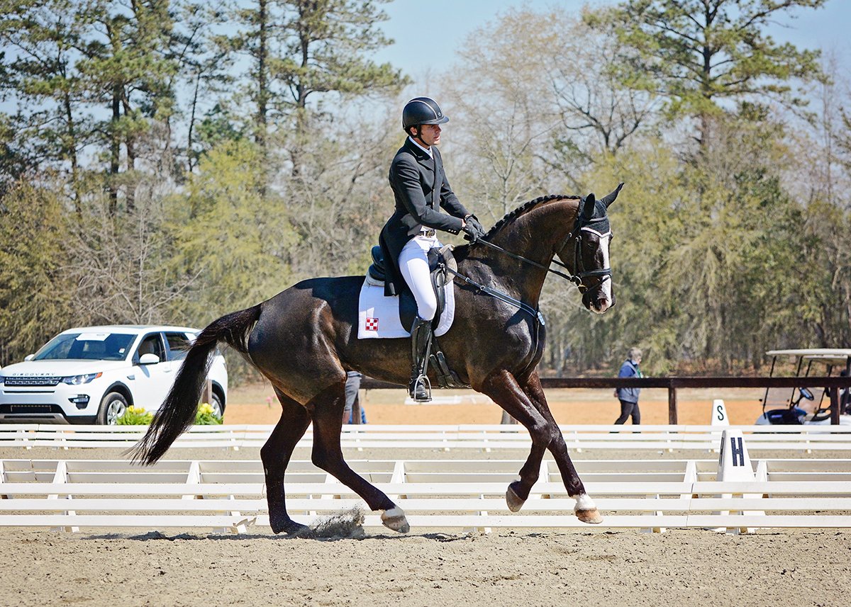 eventingnation's tweet image. Ryan Wood and Summit Sporthorses' Powell are your current CIC3* leaders at #2016CI on 44.1 in the horse's first 3*!