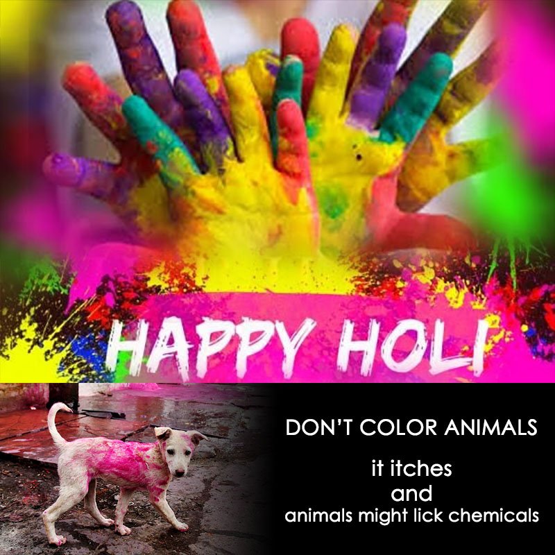 HintceOrg's tweet photo. Happy Holi Mubarak ! https://t.co/sFDIMuBiN1