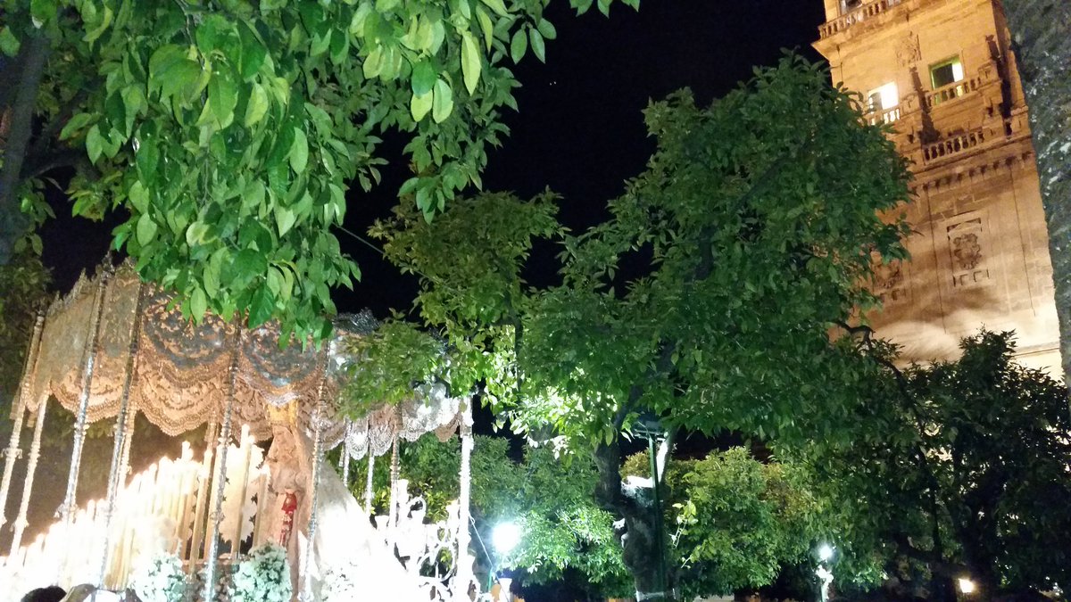 jmluque75's tweet photo. @SSantaCordoba @CORDOBA_diario 
La paz en el patio de los naranjos. https://t.co/Mlgrbs10jR