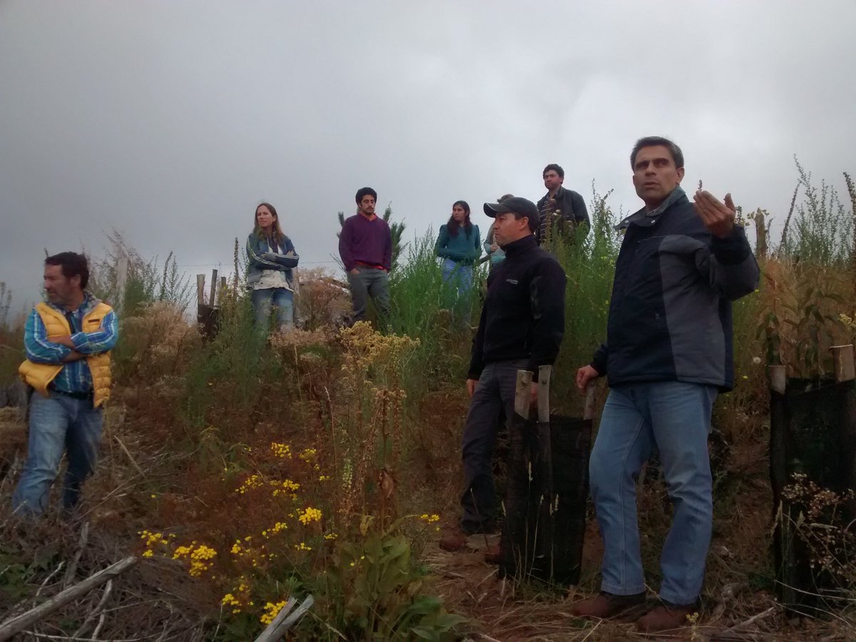 DialogoForestal's tweet photo. En gira @DialogoForestal se visita predio de Mininco donde restauró la Cooperativa Mujeres Restauradoras Nahuelbuta https://t.co/NnCTqUXkhA
