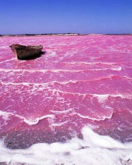 #Falcon #Venezuela #lascumaraguas