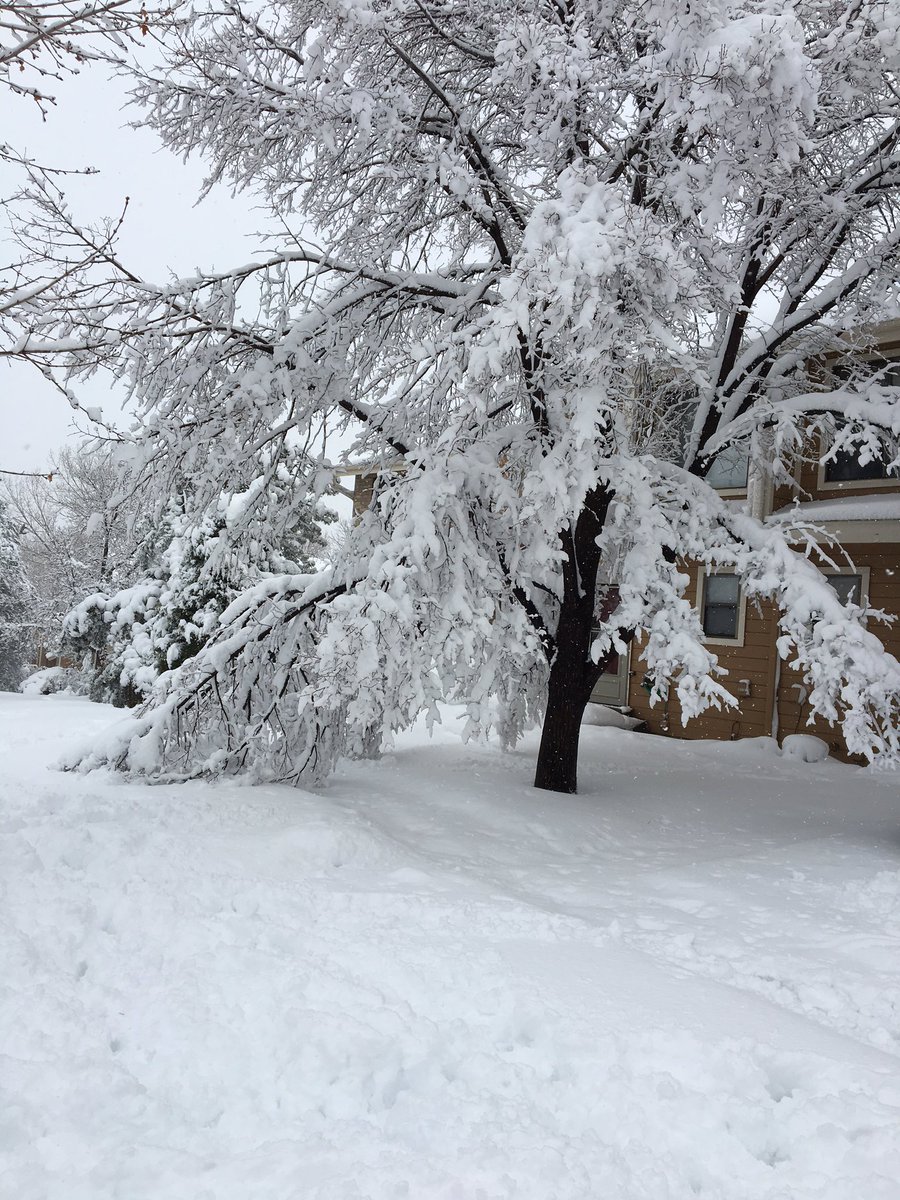 AlexisSculley's tweet photo. @KDVR Lakewood again https://t.co/feyxapxwYZ