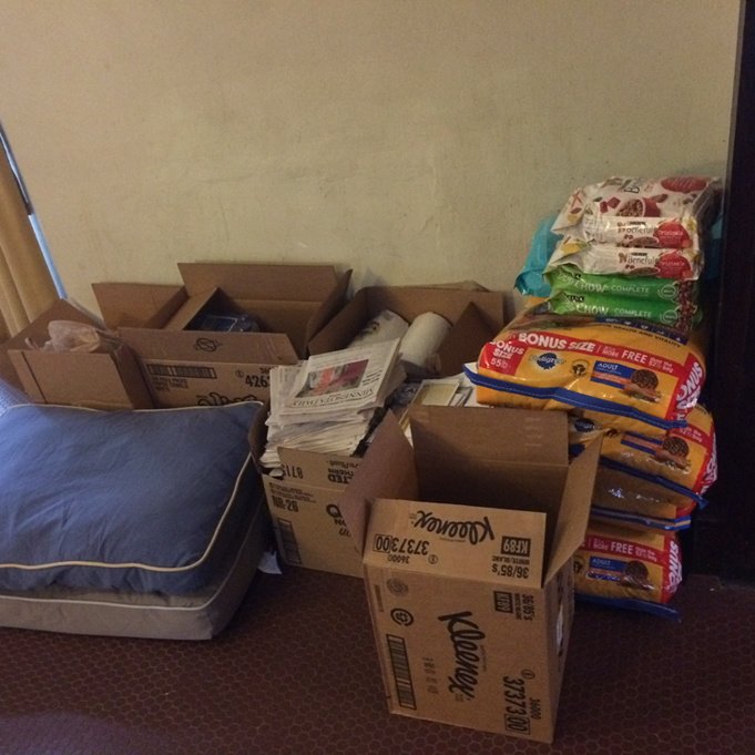 Sigma Nu partnered with <a href="/SigEpMinnesota/">SigEp Minnesota</a> in a pet supply drive. All supplies will be donated to the humane society!