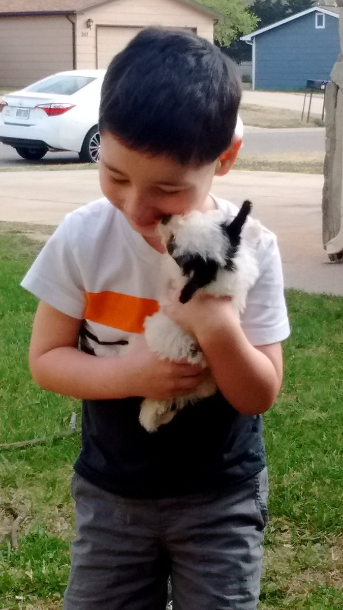 BigHubb86's tweet image. #NationalPuppyDay