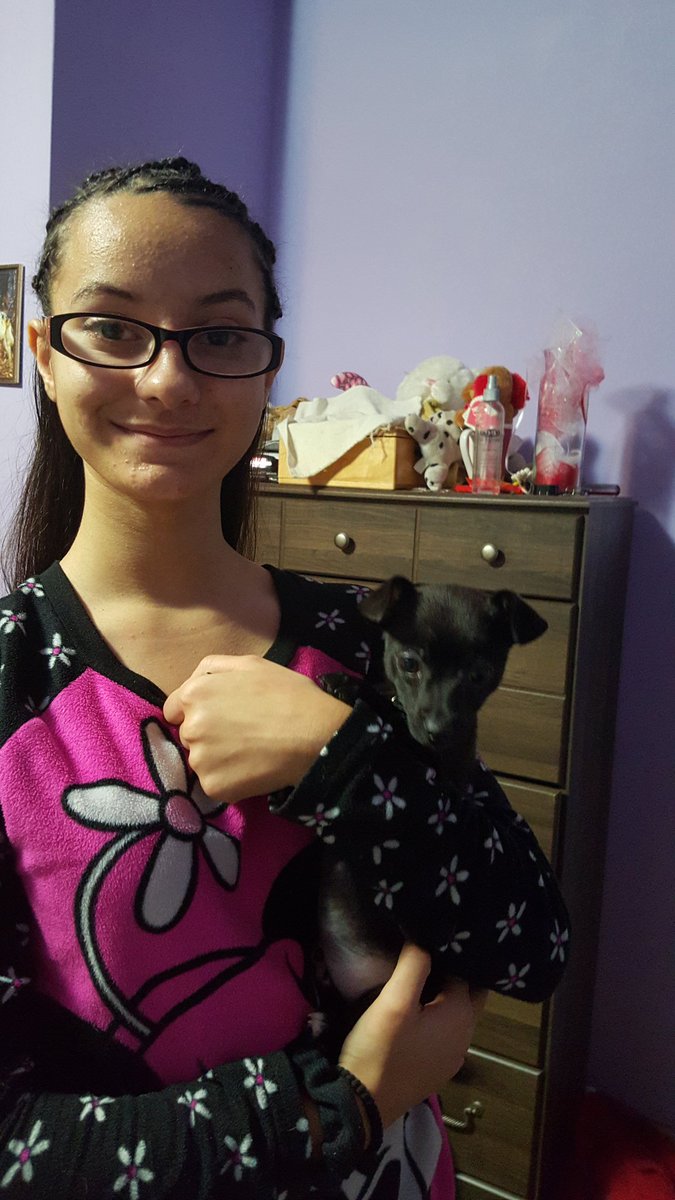 Lucinda landis (lucinda_landis) Twitter