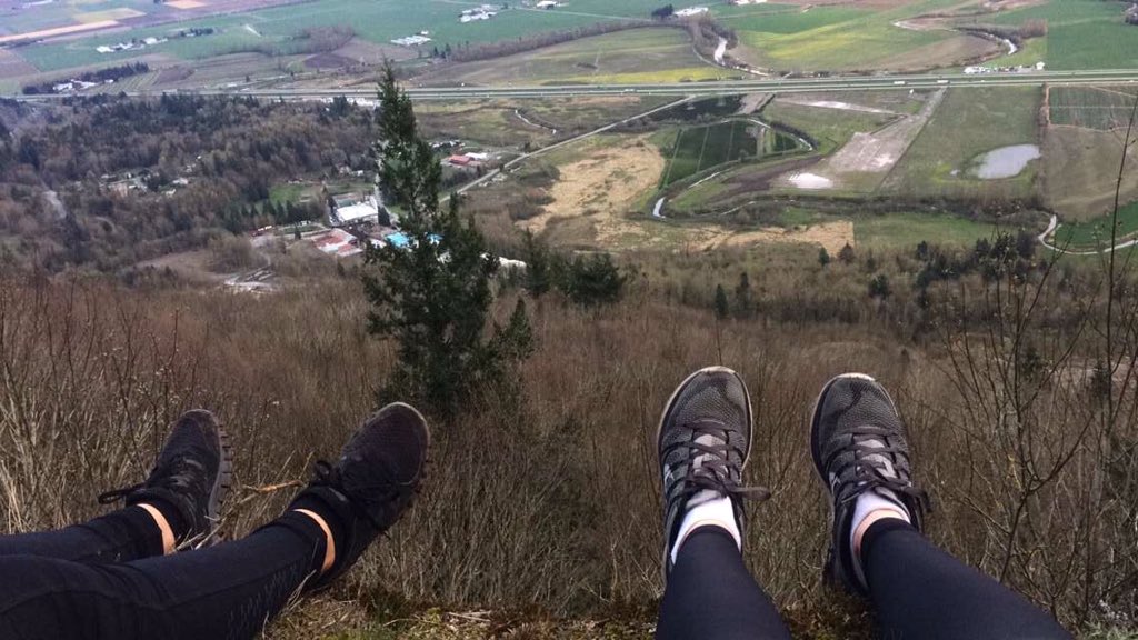 _amelia__'s tweet photo. 🌲 https://t.co/6Ov8SuKiZi
