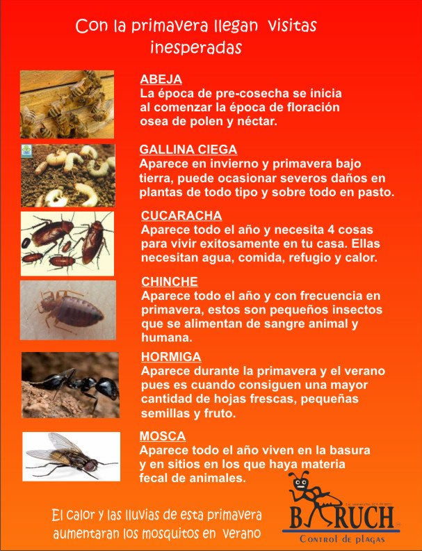 ControlPlagaB's tweet image. 