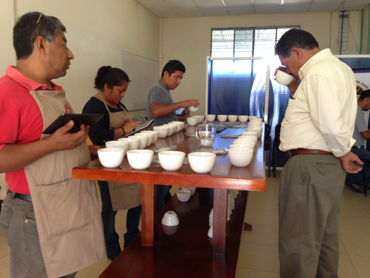 TastifyApp's tweet image. #Tastify in action at Oaxaca's quality competition @PCCOax! #Cupping #Mexico #SpecialtyCoffee