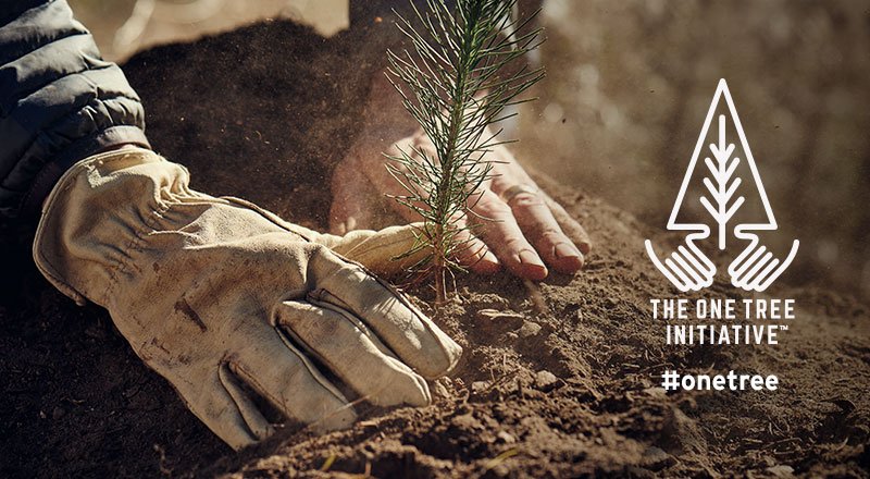 AmericanForests's tweet image. Want to help us &amp;amp; @eddiebauer plant #trees for a healthier planet? Text ONETREE to 80077. $5 = 5 Trees