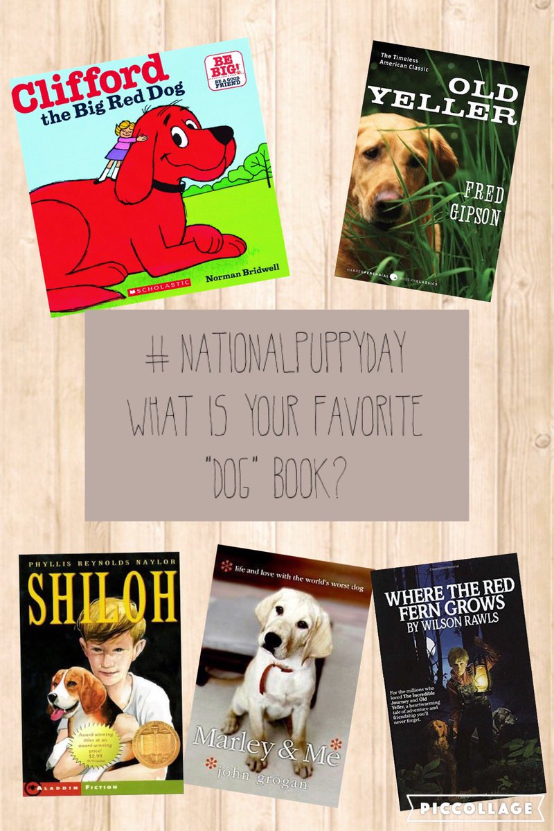 AllBookedUpYA's tweet photo. #NationalPuppyDay #BestDogBookEver #FurBaby #FourLeggedFriends #MansBestFriend https://t.co/Ni7egFHIPC