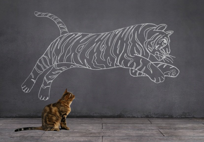 TheRetailDoctor's tweet photo. #Retail Management Tips: 15 Ways to Increase Profit Margins https://t.co/iNF24vpPhr by @TheRetailDoctor https://t.co/MnLKAVR9AF