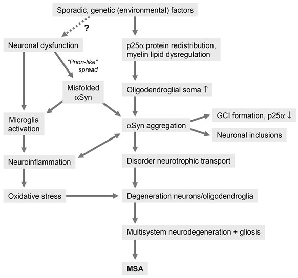 Jneuromed's tweet photo. Recent advances in #multiplesystematrophy 
https://t.co/SrKhI58D8o https://t.co/e7hlVv9tNj