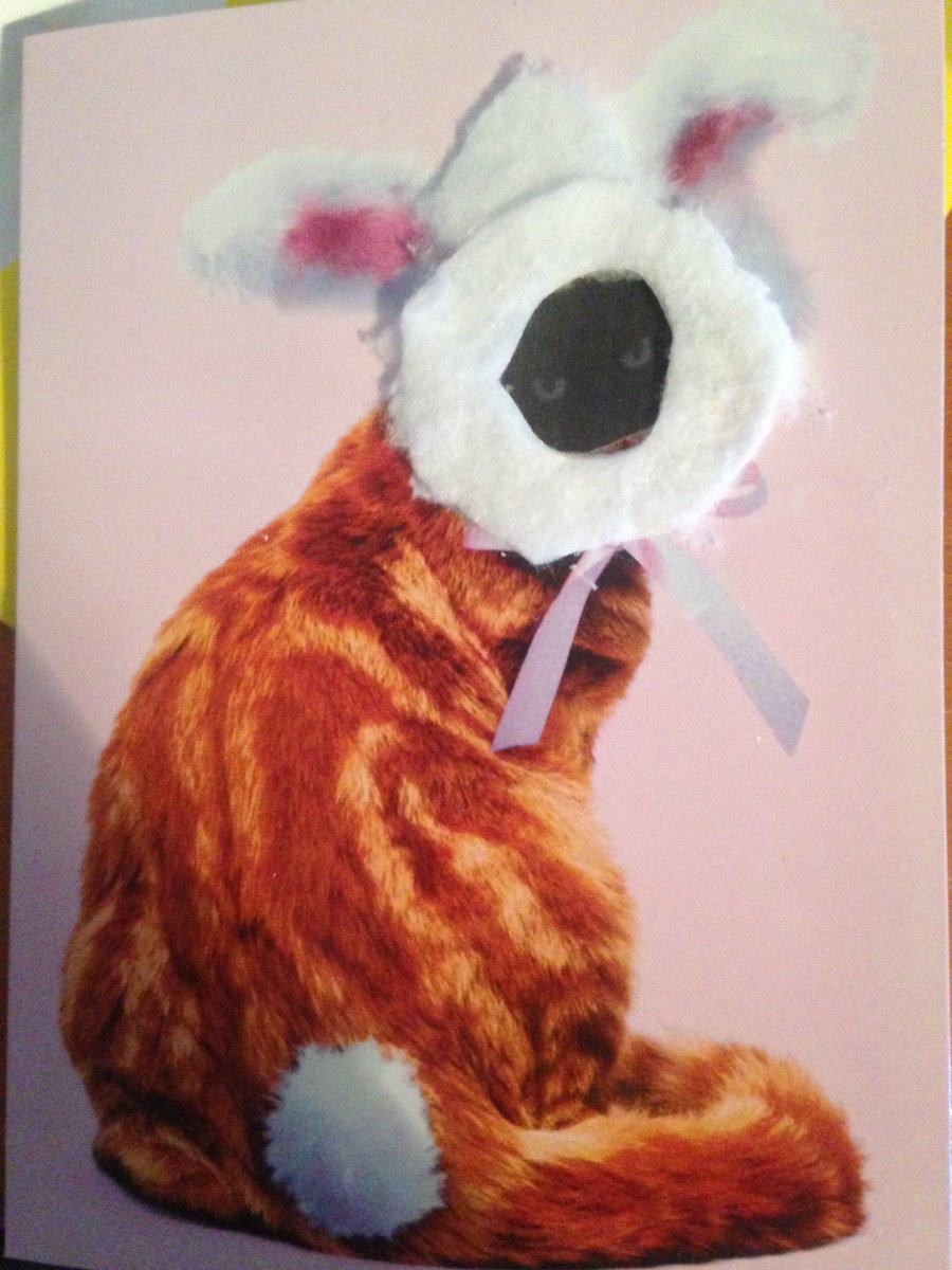 bethmillicannn's tweet photo. wouldn't be a card from my mum without the cat making an appearance https://t.co/ArTExKJP0I