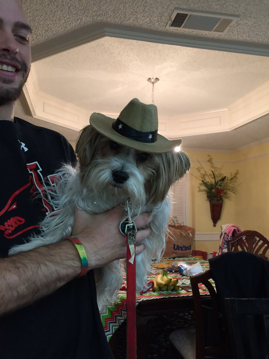 DeenadawgDeena's tweet image. #TechPup #NationalPuppyDay #lovemybaby