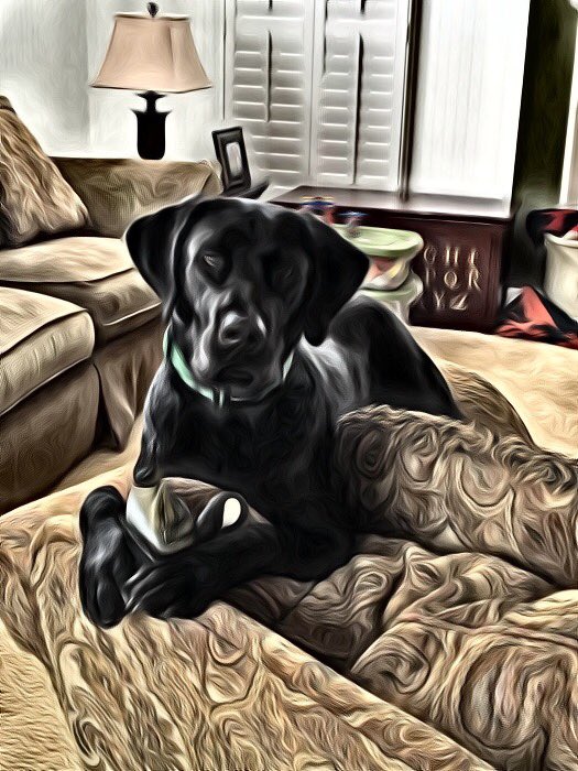 Cmossman93's tweet photo. Happy #NationalPuppyDay #mrmaddux https://t.co/nsLzfhFWUQ