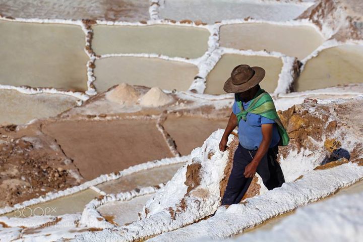 wallpapersand1's tweet photo. Salinas de Maras https://t.co/HGtAsCCnt8 water,light,outside,man,white,salt,homme,ponds,w… https://t.co/jbSBHdIBjQ https://t.co/i7PeKoB29s