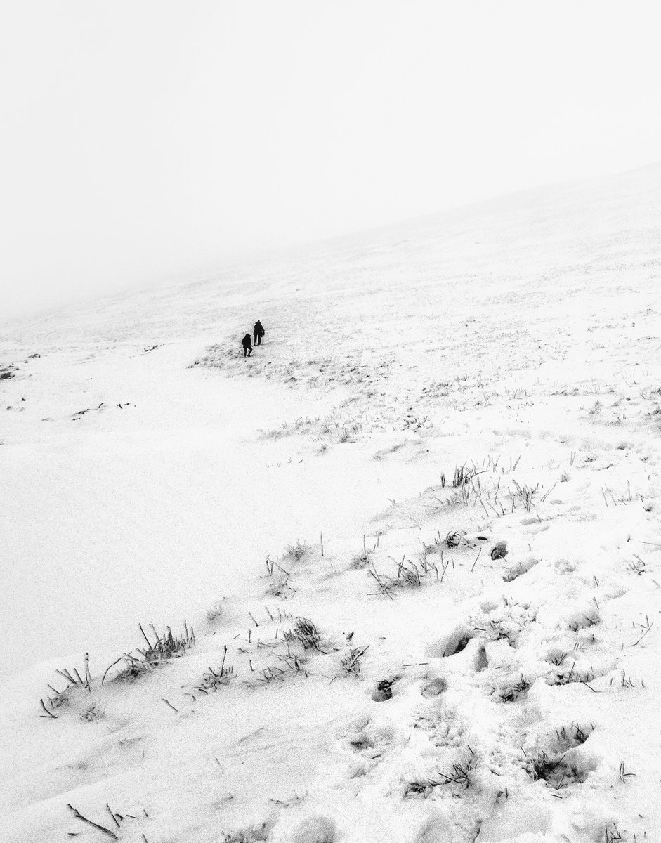 Matthew Roberts tweet media