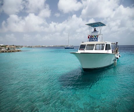 luxurytravel's tweet photo. Bon bini to Bonaire - my top 5 to dos - A Luxury Travel Blog https://t.co/0aPh3L4s1G https://t.co/wKM3VFwkeu