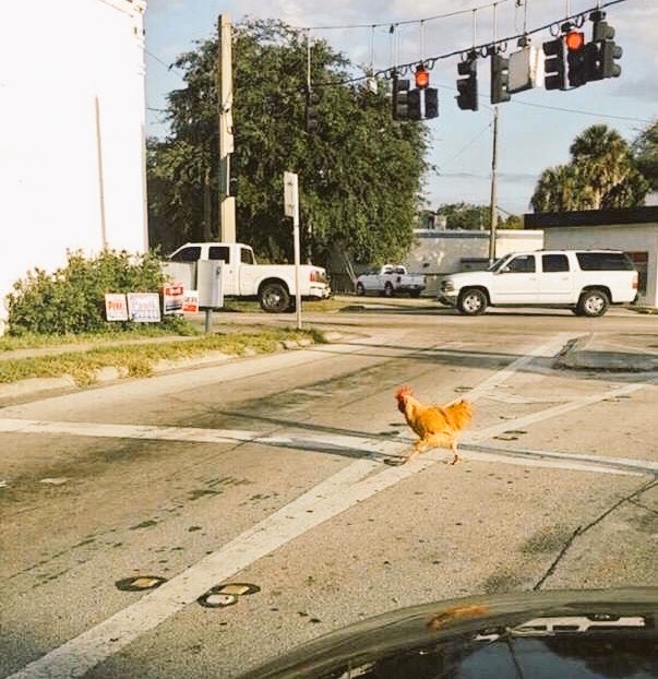 Secondary Deputy tweet media