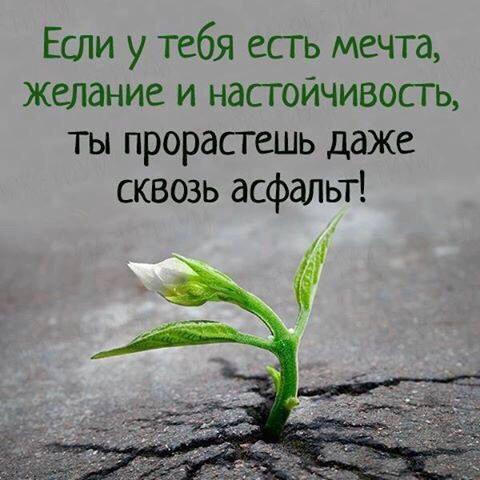rabota-v-internet-biznes.weebly.com