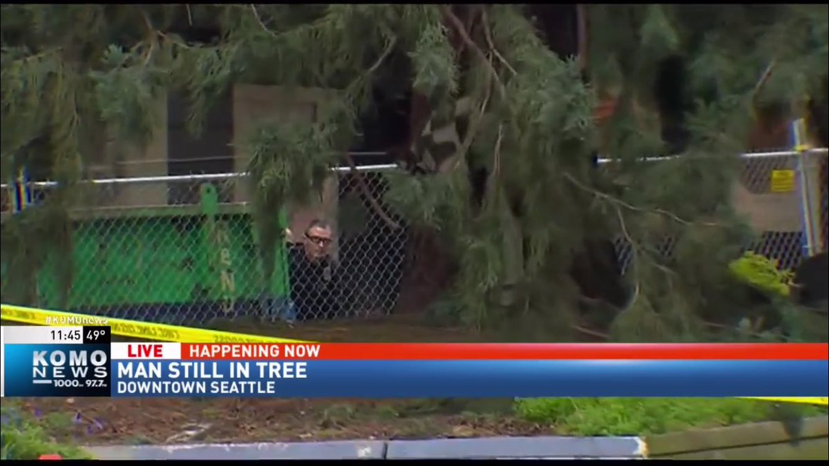 TommyHugh3s's tweet photo. #ManNotInTree @komonews #ManinTree https://t.co/d9XRTGm4RL