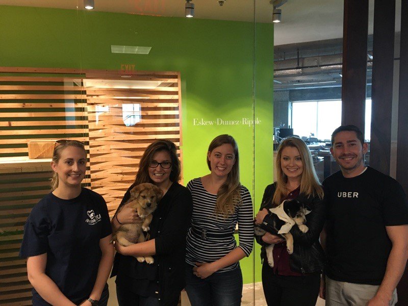 EDR_Design's tweet photo. We were so excited when @Uber and @LASPCA visited our neighbors @NOLAMediaGroup across the hall with puppies! https://t.co/vIx8Fzi7dY