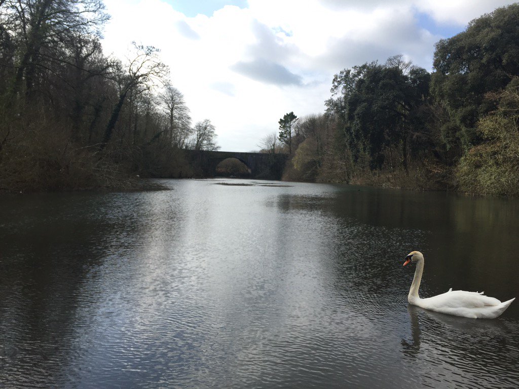 stackpole2016's tweet image. Razorbills were on fire again today!!!! #bestdayever
