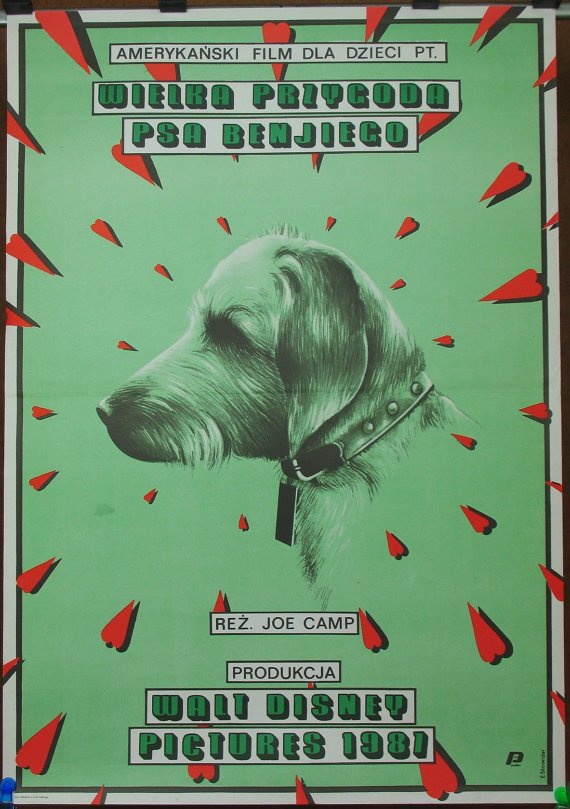 AmySmart__'s tweet photo. @showroomcinema one of the greatest screen dogs ever... in Polish #BenjiTheHunted https://t.co/uCEe6Yy1kP