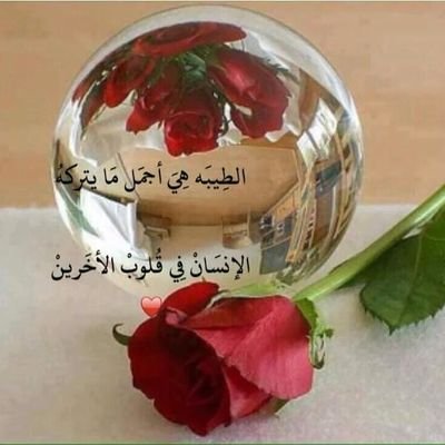 iymanhamse43's tweet photo. https://t.co/LZVc9d3kor