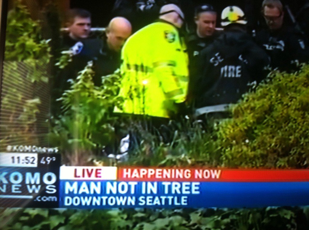 sonicsguy's tweet photo. Only in Seattle! #Mannotintree https://t.co/z4tk0Zyqsz