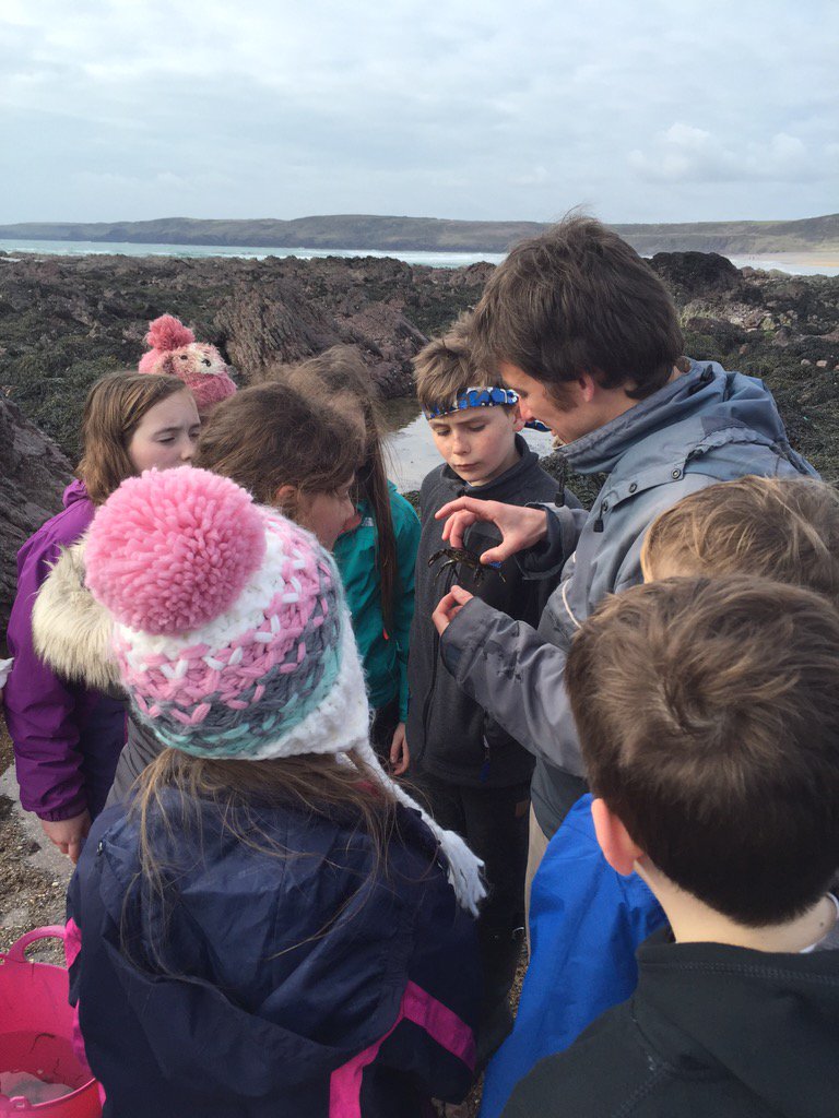 stackpole2016's tweet image. What a Wednesday!!!! Guillemots did us proud!!!