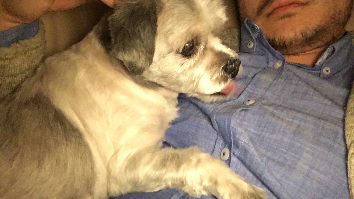 steveekimm's tweet photo. She ain't no puppy but she's still my baby #NationalPuppyDay https://t.co/EC7AKMX0XW