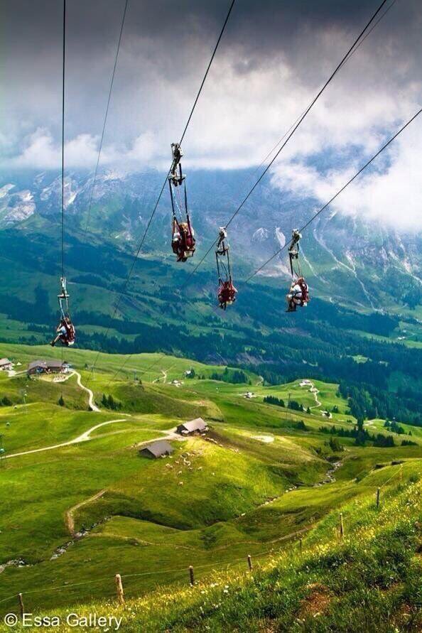 Ziplining in the Swiss Alps.