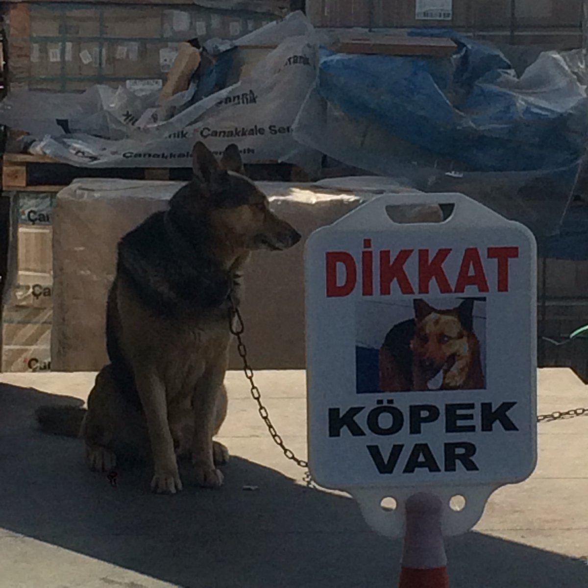 T.C İbrahim Moray tweet media