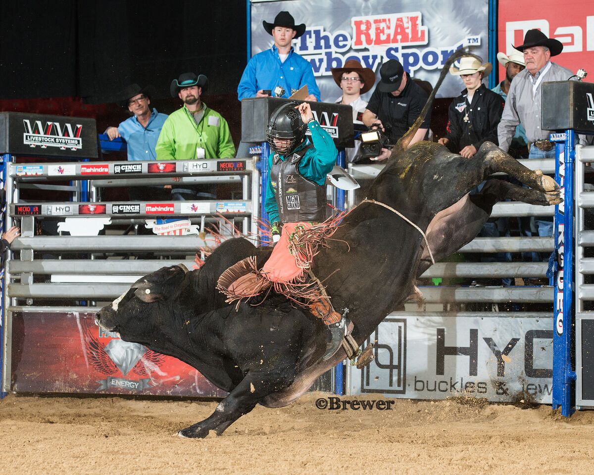 GetFamousEnergy's tweet photo. Famous Energy is now the official energy drink of .@CBRbull! #GETFAMOUSENERGY https://t.co/sUMzljUwyx