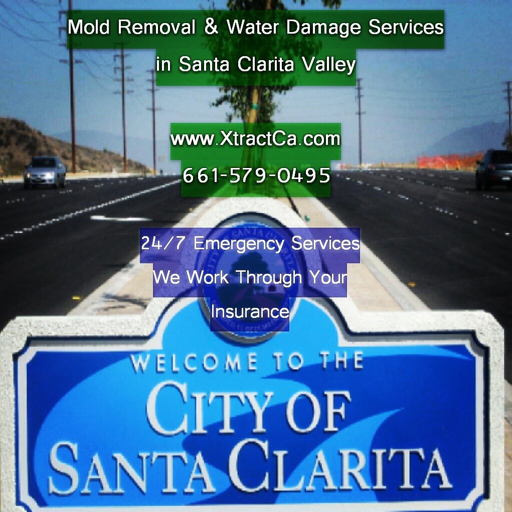 xtractca's tweet image. Attn #santaclarita #valencia #newhall residents. If you spot #mold call us asap. 10% off services. 661-579-0495
