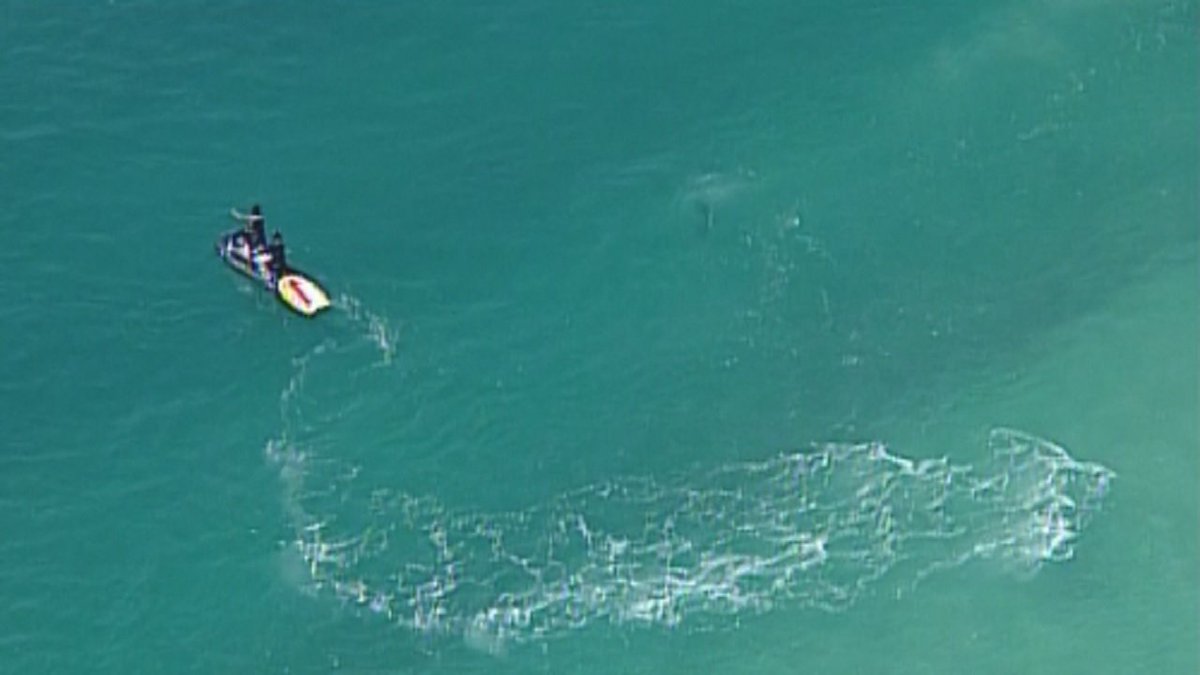 Body found after man gets swept away by rip current off Haulover Beach bit.ly/1UNnqFz?utm_me… https://t.co/C6ai8kI3v7