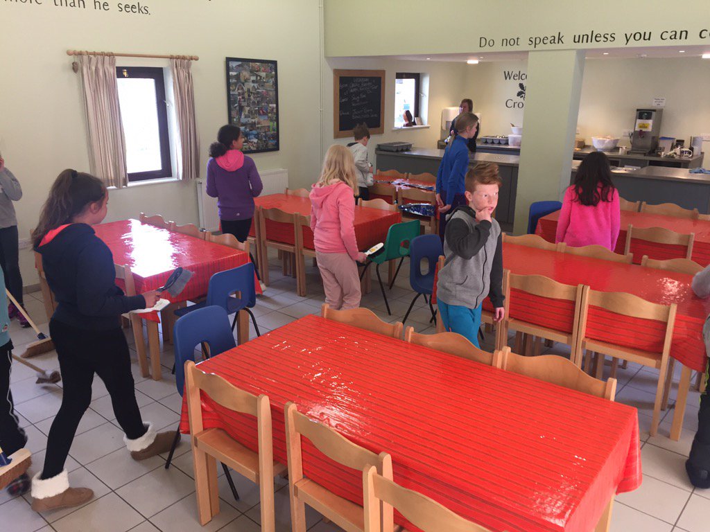 stackpole2016's tweet image. As requested - no more fun!! #ChoreTime