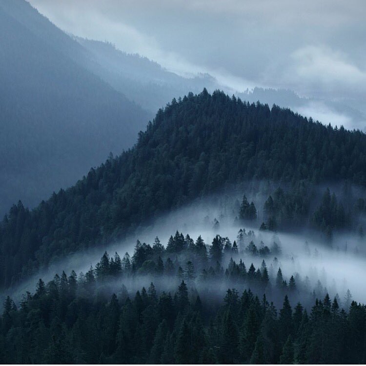 montiere's tweet photo. Morning mist kissing the Bavarian prealps. 📷 @kilianschoenberger https://t.co/K80sFs9zsz