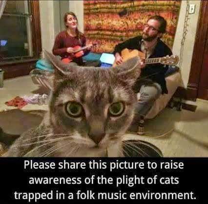itsOceanside85's tweet photo. I can see how worried the kitty is that there is no bass to drop #pokitty https://t.co/rzLunWPJjw