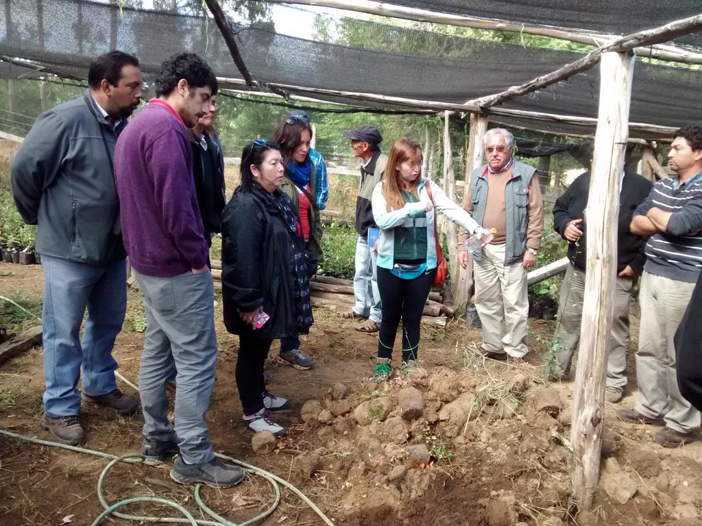 DialogoForestal's tweet photo. Delegación de Mesa Empresa y Comunidad Los Ríos visita experiencia de Cooperativa de Restauradoras de Nahuelbuta https://t.co/W9AjPNpAmd